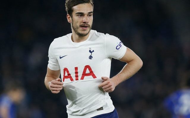 Harry Winks: ‘My Tottenham career was dead and buried before Antonio Conte’