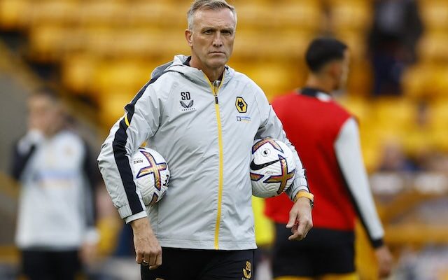 Steve Davis to remain in charge of Wolverhampton Wanderers until 2023